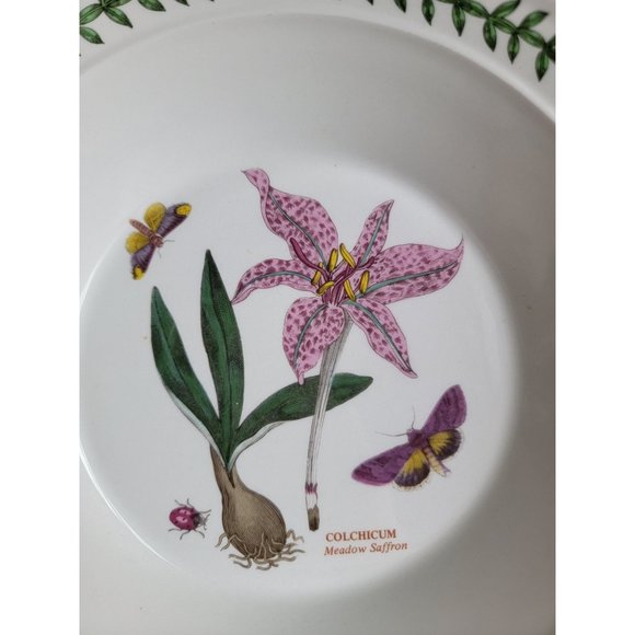 Portmeirion Botanic Gardens Meadow Saffron 8" soup salad bowl - Picture 4 of 7